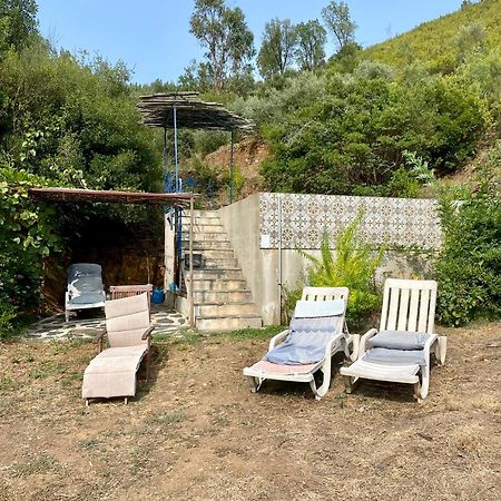 Unique Tiny House With Natural Building Techniques Figueiro Dos Vinhos Zewnętrze zdjęcie
