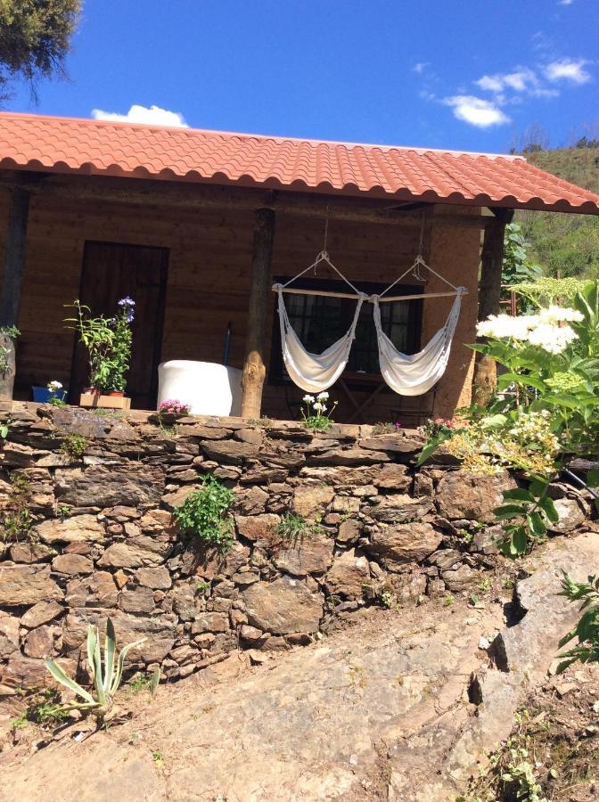 Unique Tiny House With Natural Building Techniques Figueiro Dos Vinhos Zewnętrze zdjęcie