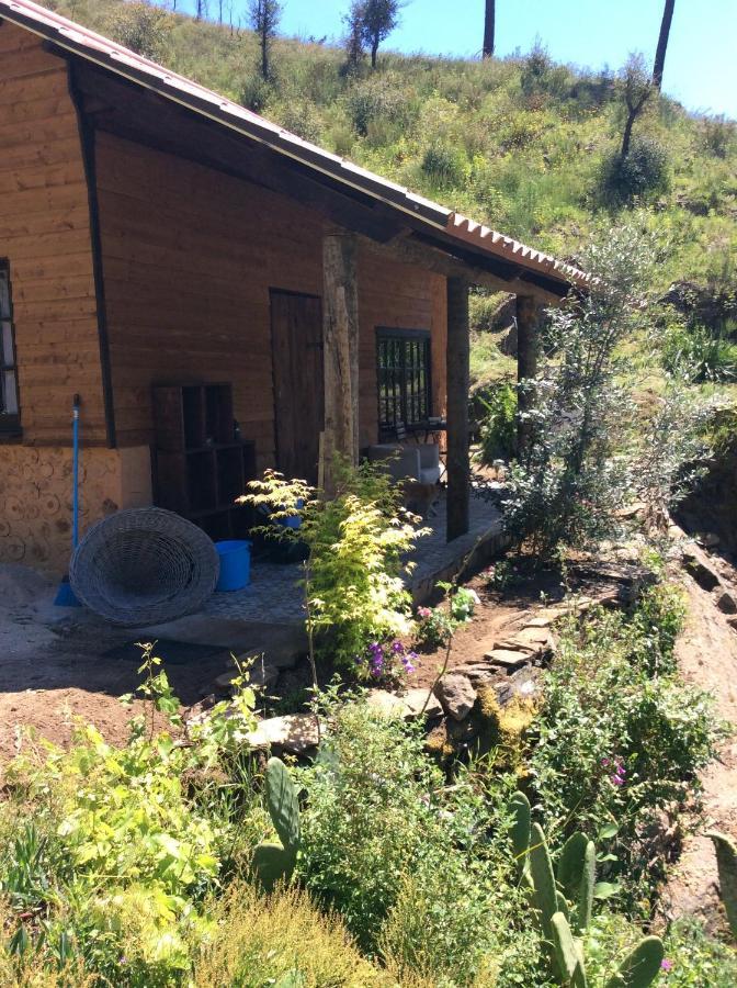 Unique Tiny House With Natural Building Techniques Figueiro Dos Vinhos Zewnętrze zdjęcie