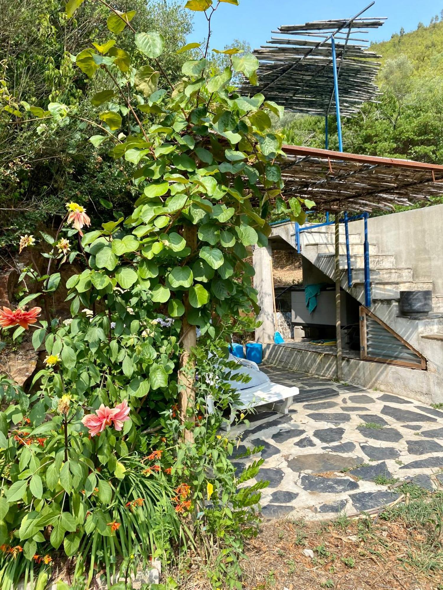 Unique Tiny House With Natural Building Techniques Figueiro Dos Vinhos Zewnętrze zdjęcie